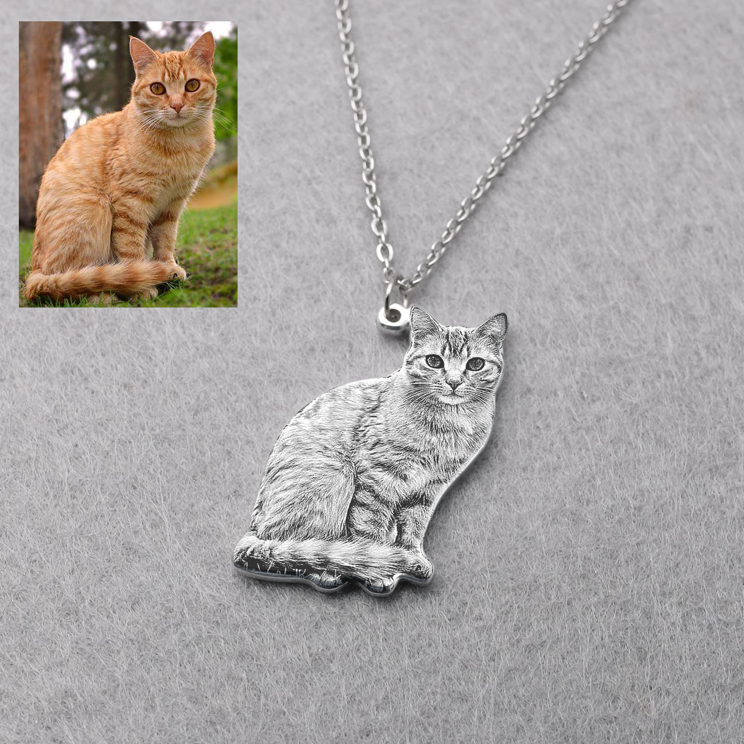 Kişiye Özel Evcil Hayvan Fotoğ - Pet Portrait Custom incelemesi ve fiyatı