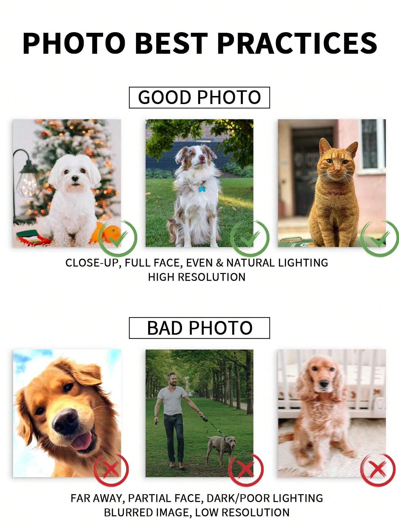 Kişiye Özel Suluboya Evcil Hay - Pet Portrait Custom incelemesi ve fiyatı